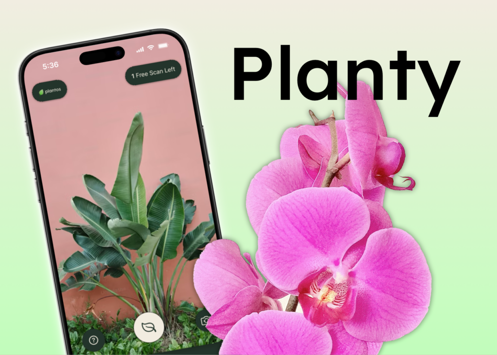 Planty Banner